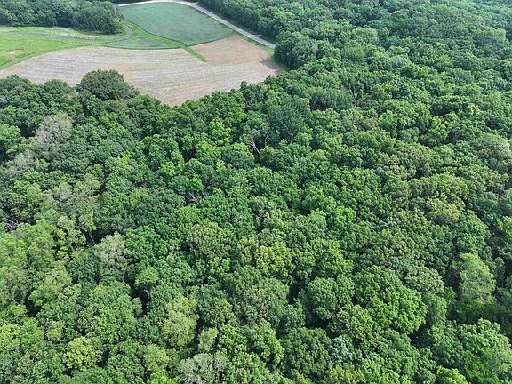 3rd image of 21.99 Observatory Road #1