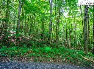 38 Marta Ln, Zionville, NC 28698