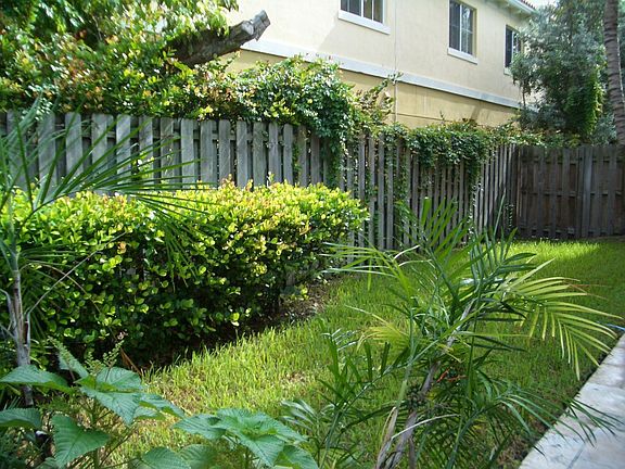 Side Yard