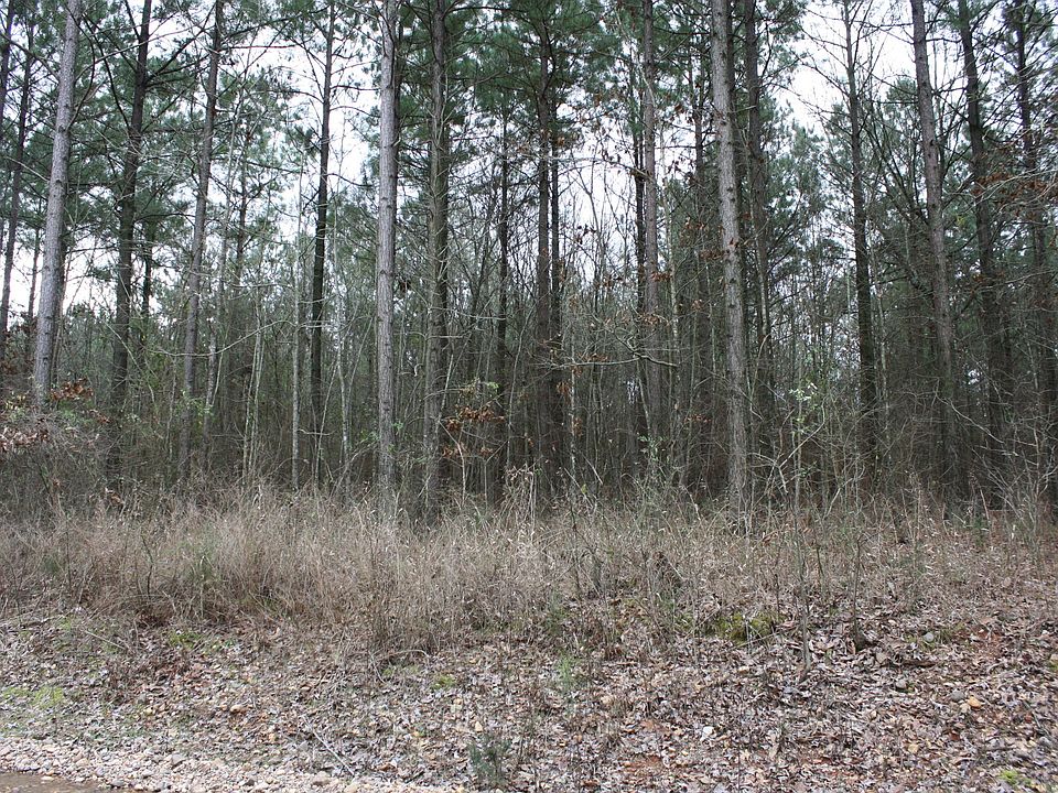 2nd image of Center Rd