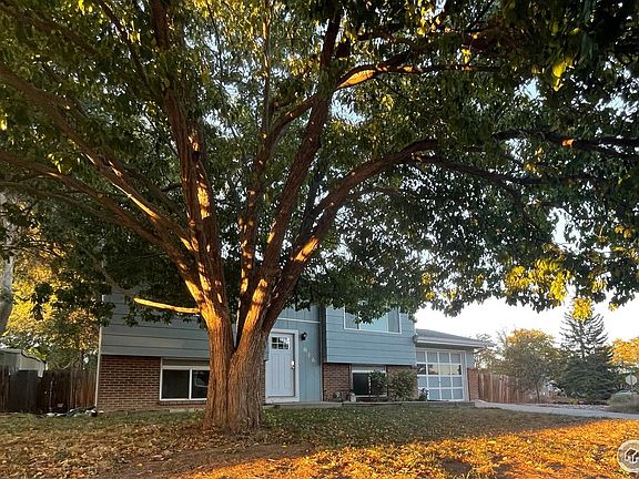 3rd image of 816 Iron Mountain Ct