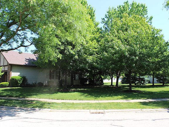 View of the Side Lot