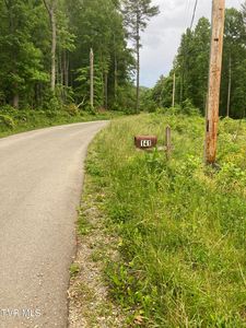 Dye Leaf Rd, Butler, TN, 37640