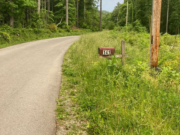 Dye Leaf Rd, Butler, TN 37640