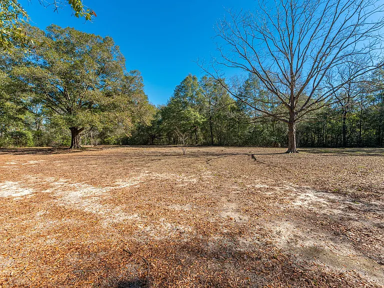 1841 County Highway 183 S — Photo 23