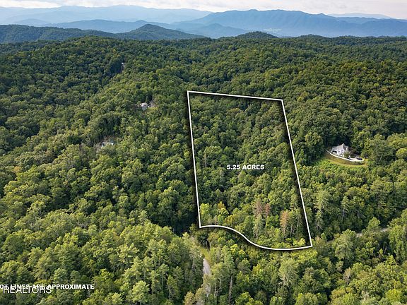 2nd image of Chilhowee Loop