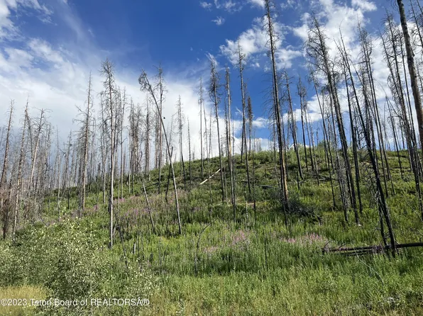 Tba Forest Dr, Bondurant, WY 82922