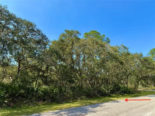LOT 10 E Cashew Ct #1000, Eustis, FL 32736