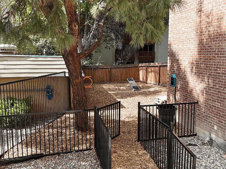 Enclosed Dog Park