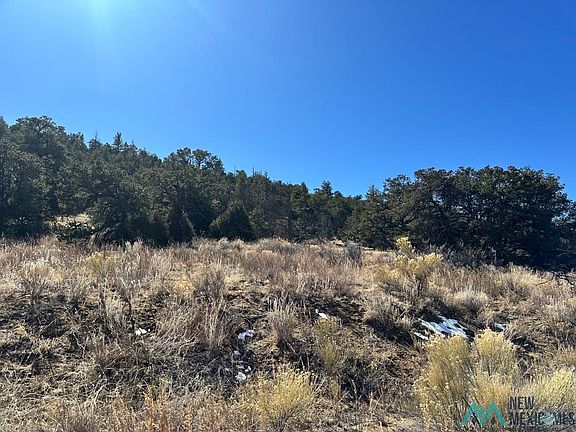 3rd image of Latigo Loop