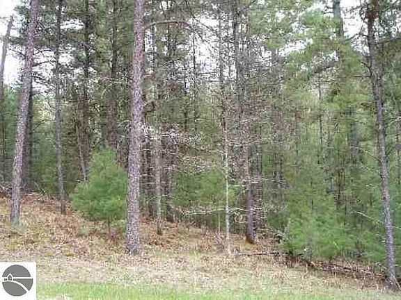 4th image of PARCEL 10 Wheeler Pines Dr