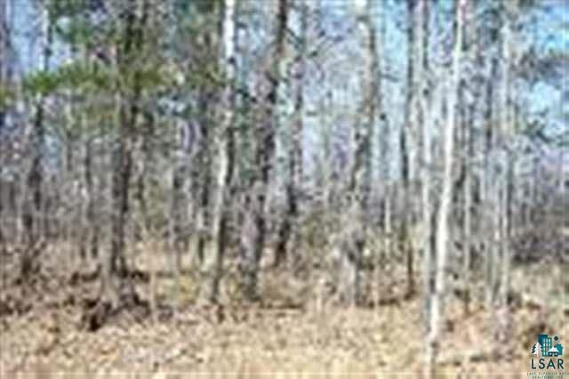 2nd image of Lot 1 SOUTH LK RD