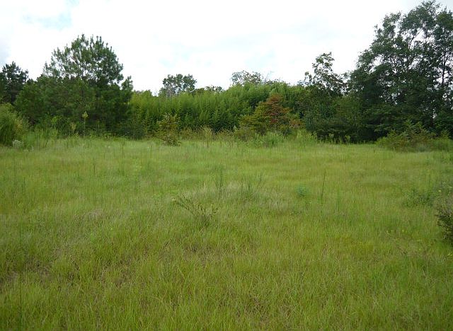 1st image of 13 Acres Cir #728