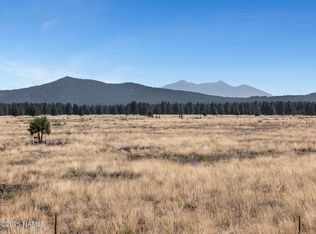 13373 E Dog Haven Pl, Williams, AZ 86046