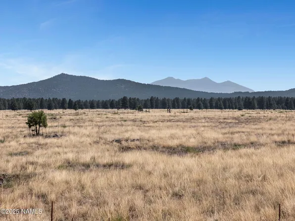 13373 E Dog Haven Pl, Williams, AZ 86046