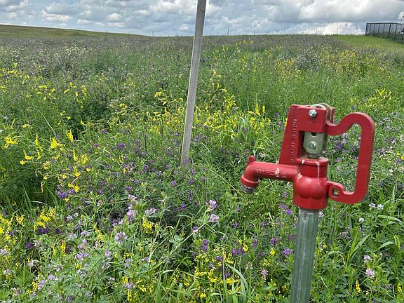 4th image of 2364 Acres Dr