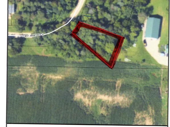 11809 W Galway Dr, Jerome, MI 49249