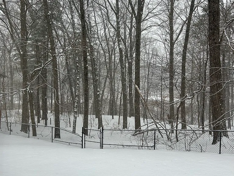 20 Greenleaf Dr — Photo 13