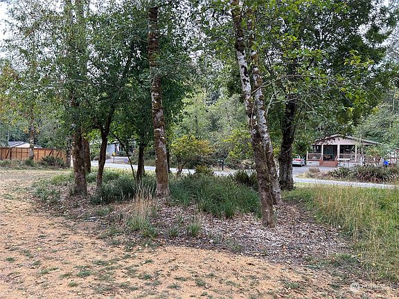 Clusters of trees and natural growth still on site.>