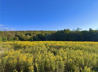 0 Campbell Rd, Franklin, NY 13775