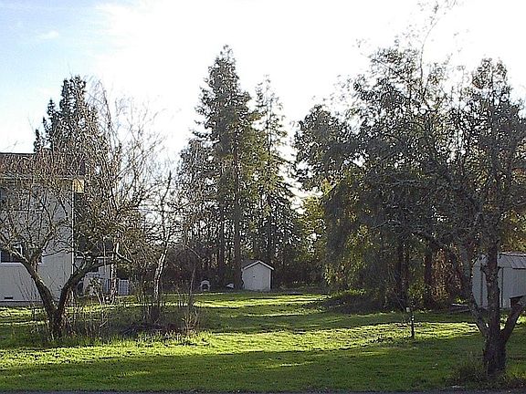 5th image of 20325 8th St E