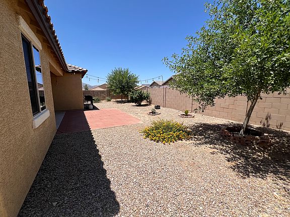Backyard with 2 shade trees