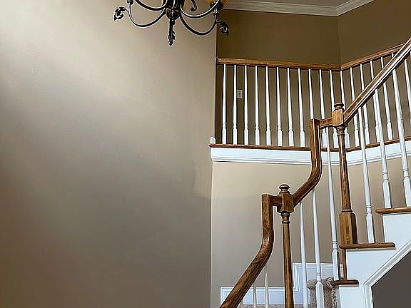 4th image of 609 Birkdale Dr