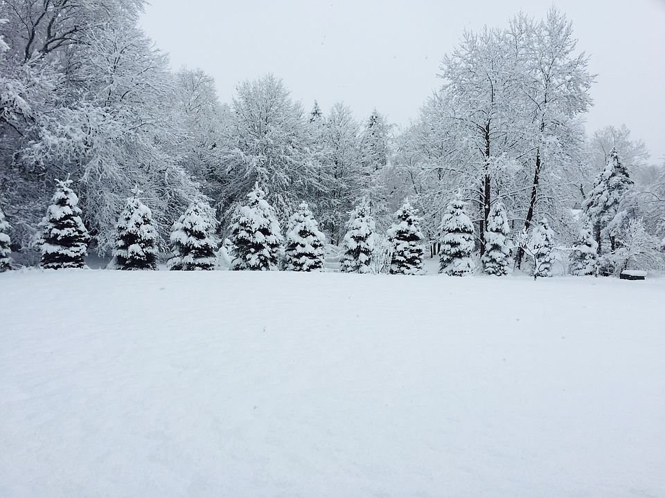 2nd image of 108 Fresh Meadow Ln