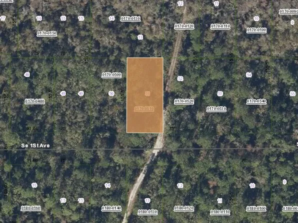 0 RIO DE Street, Palatka, FL 32177