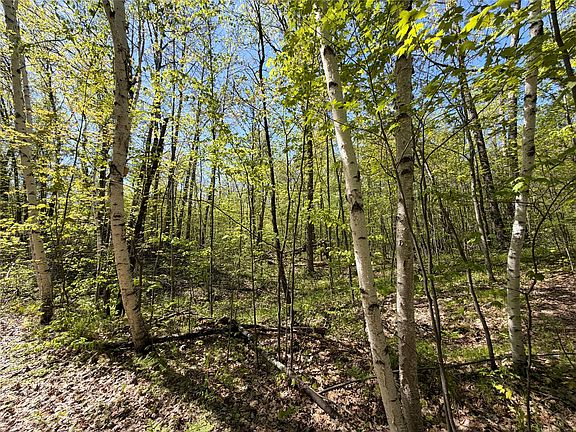 4th image of Lot 3 Peterson Road