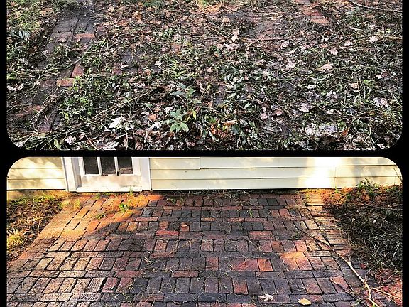 Cleaned overgrown patio