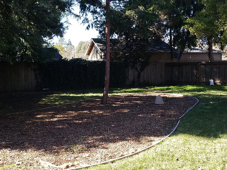 926 Louisa Ct — Photo 15