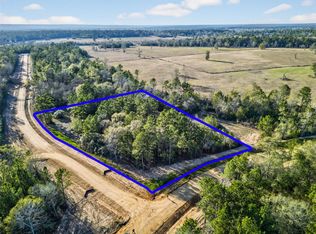 100 Remington Ct, Coldspring, TX 77331