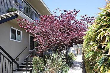 2nd image of 3555 Florida St Unit E