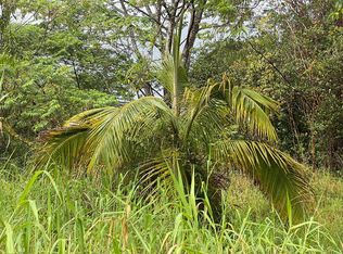 18-8035 N Kulani Rd LOT 4, Mountain View, HI 96771