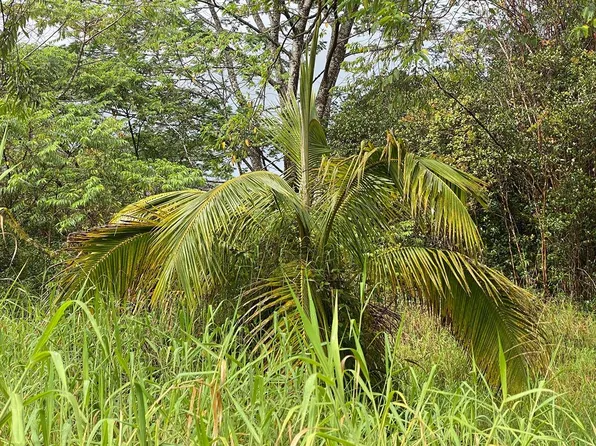 18-8035 N Kulani Rd Lot 4, Mountain View, HI 96771