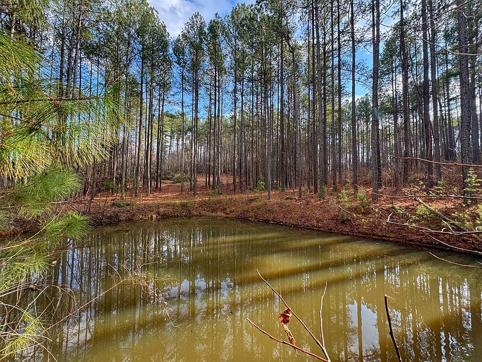 1st image of 53 Pretty Creek Ln