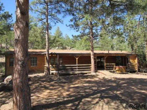 1470 Arapahoe Dr, Florissant, CO 80816