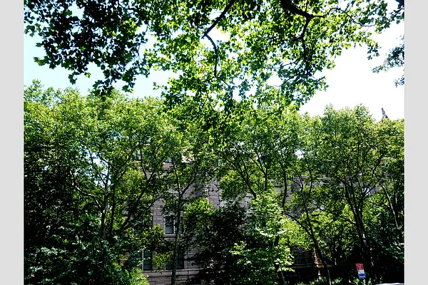 Rented by Stribling | media 19