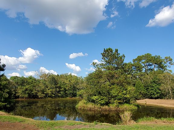 3/4 acre pond with fish