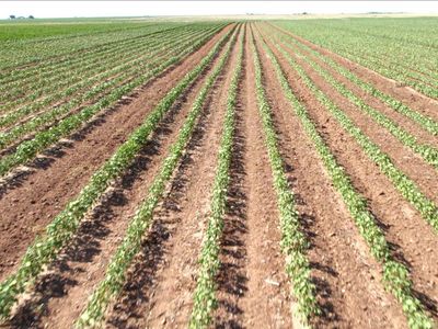 0 Cr, Slaton, TX, 79364