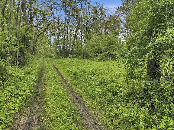 2nd image of 29500 Fairview Ridge Rd