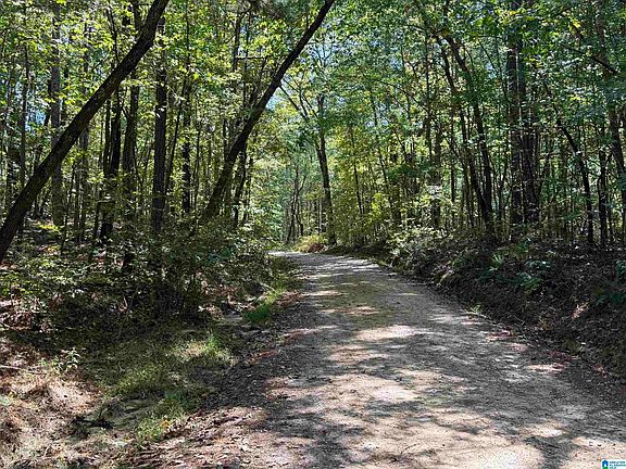 4th image of 0 County Road 701 #5.5