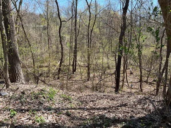 0 Serenity Rd, Oakland, MI 48363