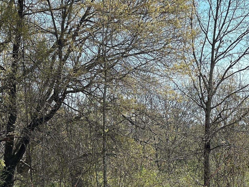 2nd image of 0 Highway 167