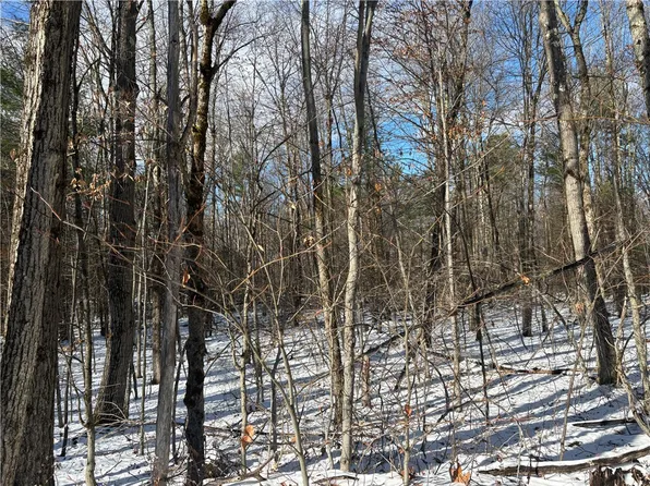 Stanley Roseboom Rd, Schenevus, NY 12155