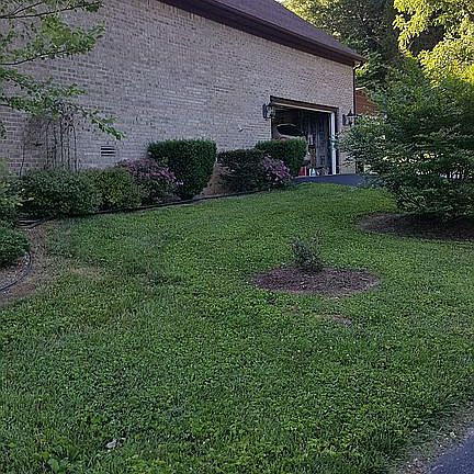 5th image of 137 Cody Ct