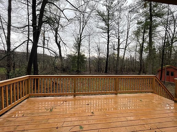 Deck, shed, and woods