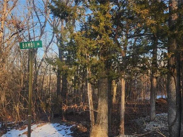 5917 Twin Fawn Rdg, Hillsboro, MO 63050