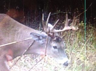 15751 Nettney Rd, Mussey, MI 48014